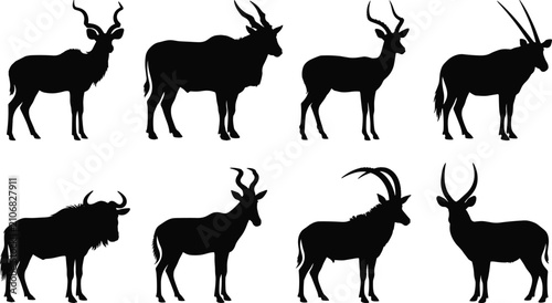 Fotografía African Antelope and Wild Bovidae Silhouette Collection Featuring Kudu Eland Ory