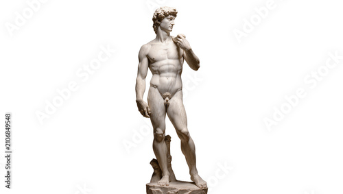 Bild auf Leinwand Isolated marble sculpture of David by Michelangelo, classical Renaissance master