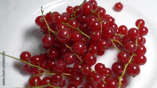 Close-up of fresh red currants on stems rotating on a white plate, showcasing their translucent, juicy berries and vibrant color under bright lighting.