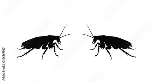 Quadro su tela Two cockroaches facing each other detailed black silhouette against a white back