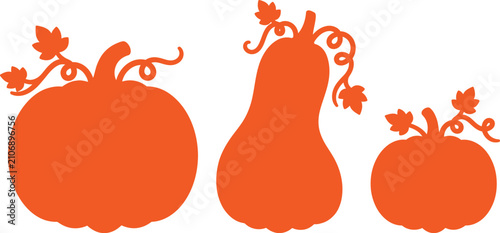 Tableau sur toile Three stylized orange pumpkins with vines and leaves isolated on transparent bac