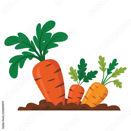 Fresh carrots growing in soil organic farming and harvesting concept illustration suitable for agriculture themes healthy food and nature projects