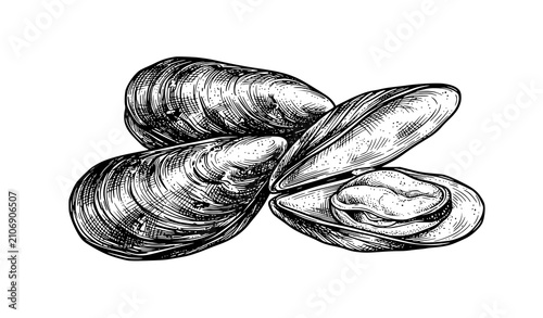 Quadro su tela Fresh Mussels Ink Sketch Hand Drawn Seafood Engraving Vector Illustration Isolat
