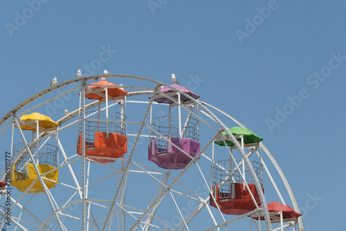 Ferris wheel in an amusement park with birds perched on it. A view of the ferris wheel. 