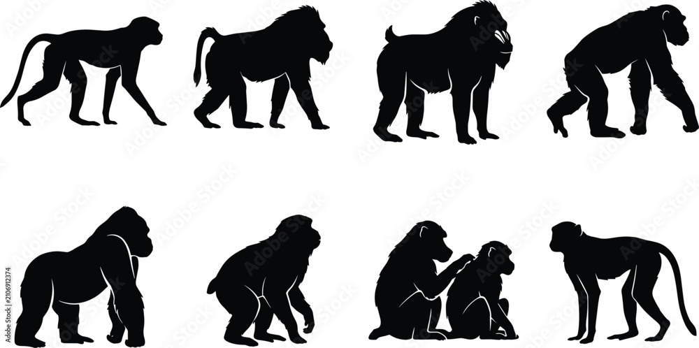 Fototapeta premium Primate Silhouette Collection Featuring Monkeys, Apes, and Great Apes for Wildlife Vector Design