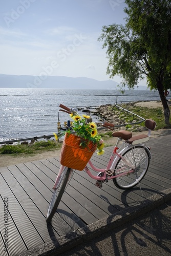 View of a pink bicycle with a basket full of flower in front