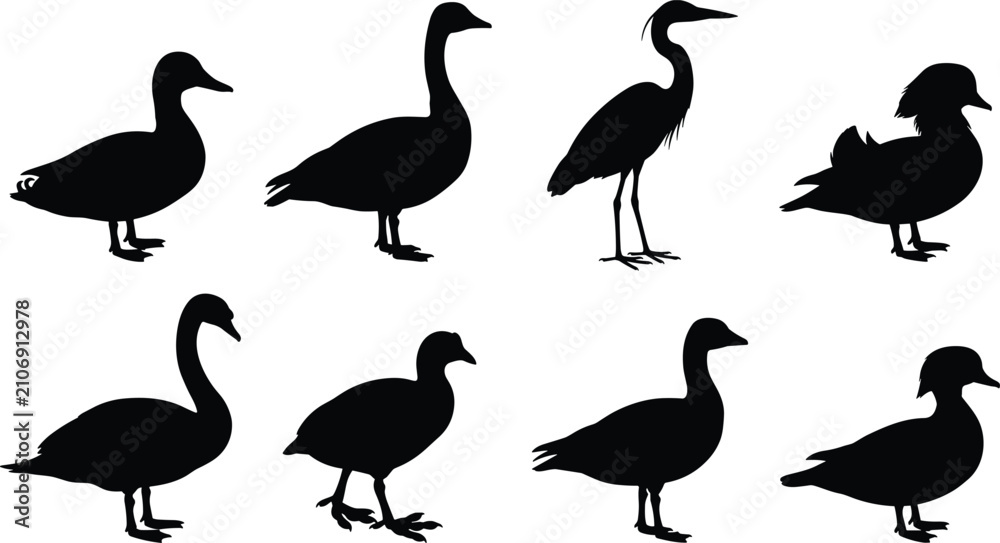 Obraz premium Waterfowl Bird Silhouette Collection Featuring Ducks Geese Swan Heron and Marsh Birds Vector Set