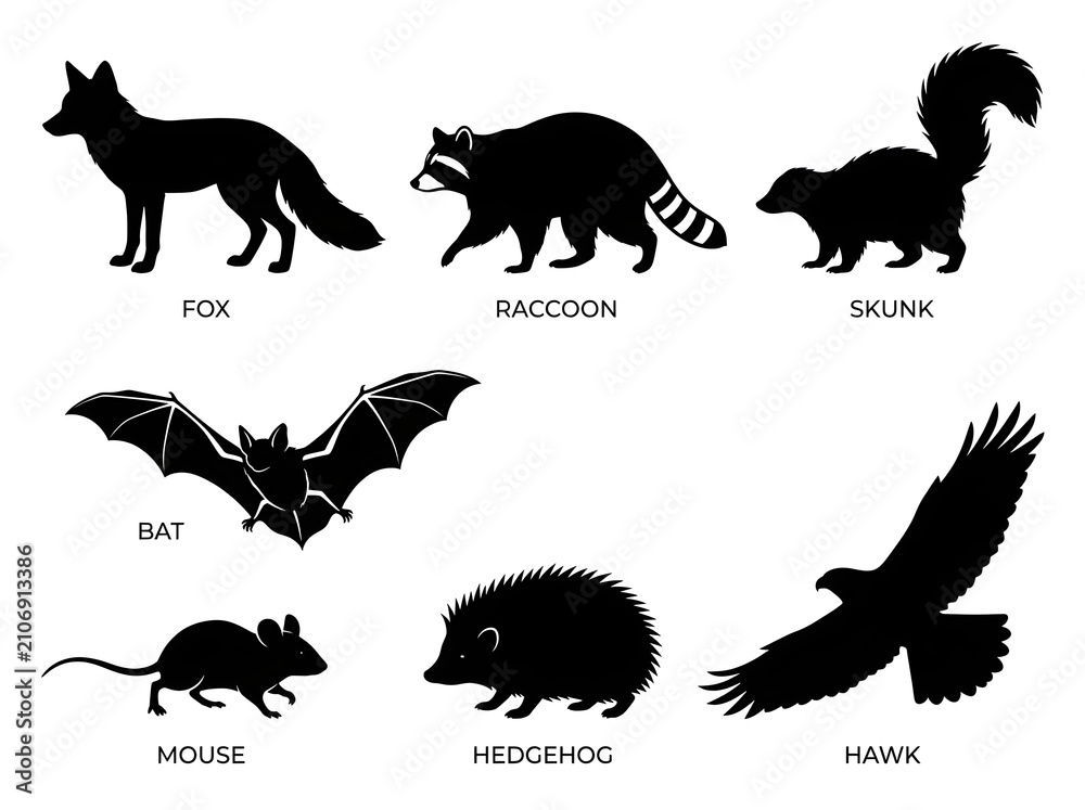 Obraz premium Set of Wild Forest Nocturnal Animals Silhouette Vector Elements for Vinyl Cutting and Design
