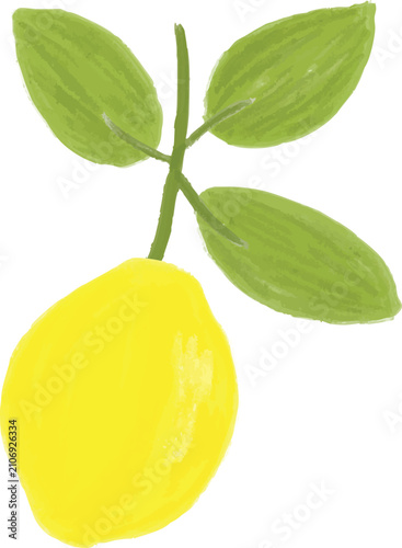 lemon gouache with green branch and leaves garden harvest fruit illustration
