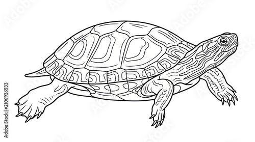Foto Patterned shell turtle line art side view.