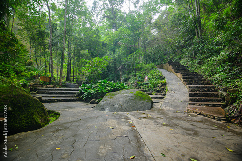 Peaceful Forest Pathway with Wooden Stairs and Large Rocks in Green Environment