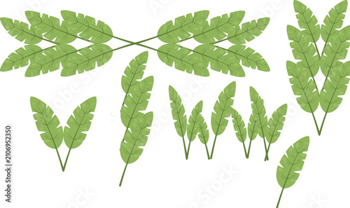 Bild auf Leinwand Banana Leaves Flat Illustration Pack | Tropical Botanical Leaf Clipart Collectio