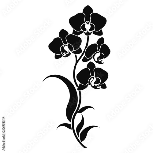 Orchid flower cluster with four blossoms and long leaves as decorative botanical silhouette vector graphic art composition.