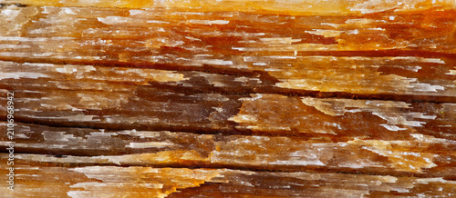 Crystal formations of gypsum in natural light with detailed texture