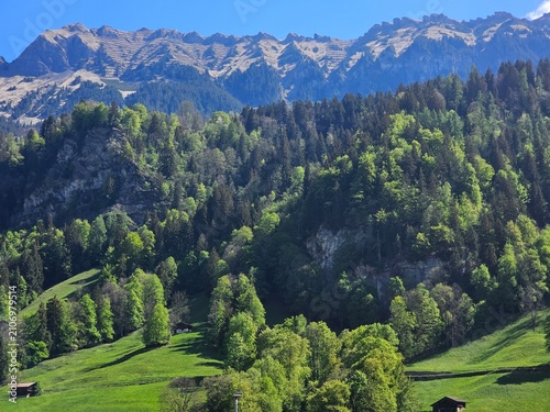 mountain landscape in summer at interlaken, swiss