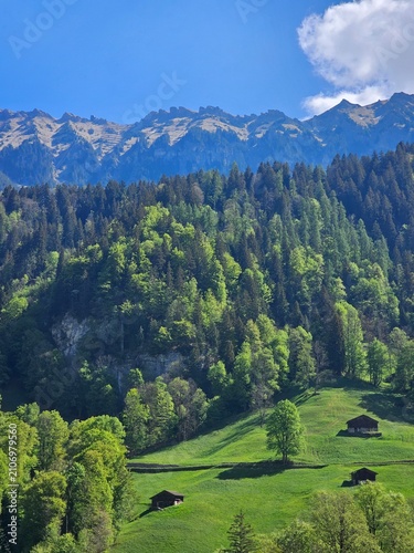 mountain landscape in summer at interlaken, swiss
