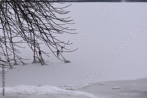 Winter landscape with frozen lake and bare tree branches on the shore