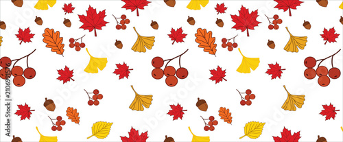 Autumn foliage background displaying colorful maple leaves and rowan berries pattern