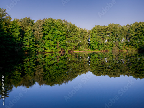 A quiet forest lake with clear reflection of sky and trees surrounded by dense green vegetation, view over a small lake in the forest in 27798 Hude, Germany