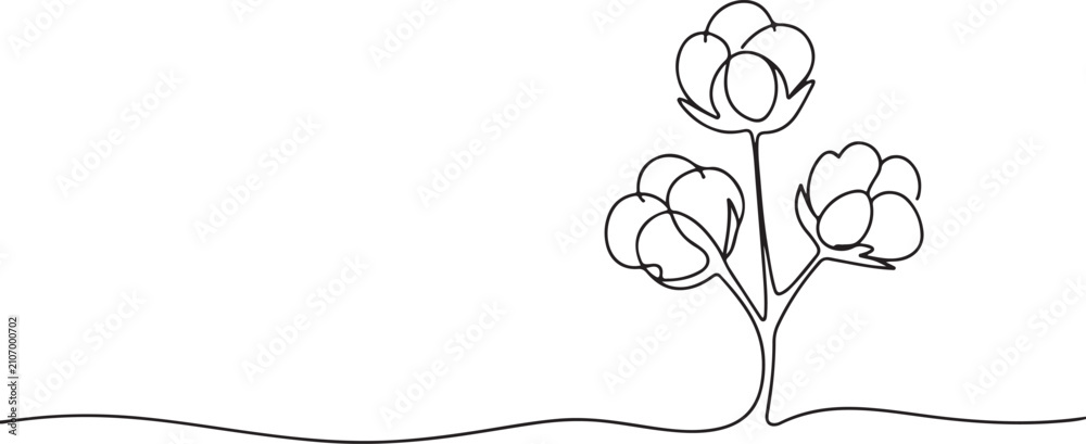 Fototapeta premium Minimalist black line of three cotton bolls on a stem against a white background