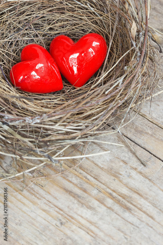 Two red hearts in a bird nest on wooden board - abstract concept for love