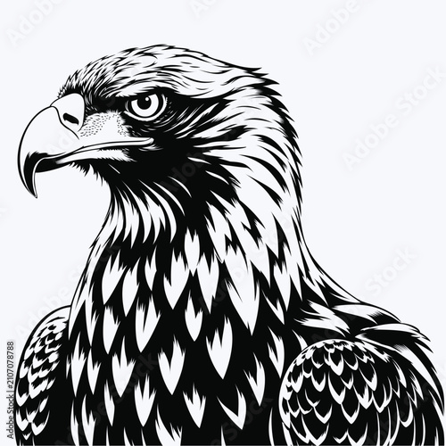 Majestic Eagle Portrait Silhouette Vector Illustration Bald Eagle Head Wildlife Bird of Prey Raptor Design