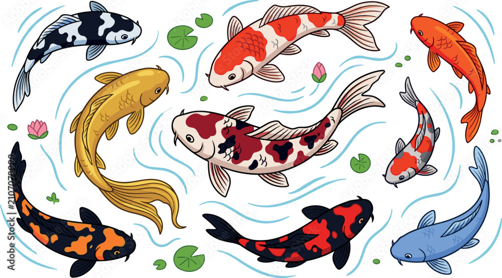 Obraz premium Japanese koi fish vector illustration set featuring colorful carp swimming in pond water with lotus flowers and lily pads.