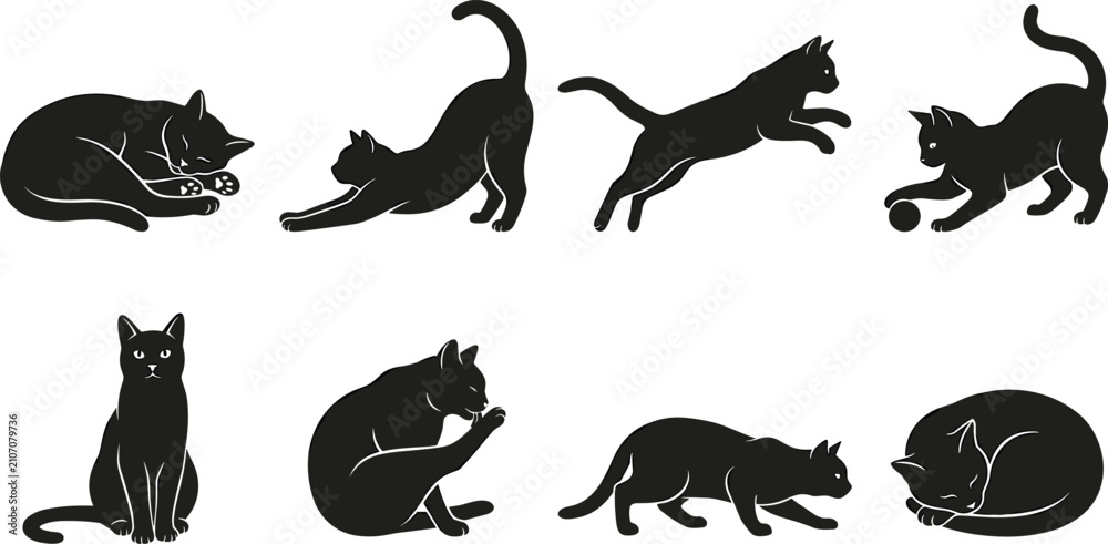 Fototapeta premium Set of black cat silhouettes in various poses including sleeping, stretching, jumping, playing, sitting, grooming, and stalking isolated on white background