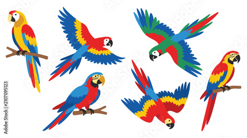 Vibrant macaws perched and flying, colorful tropical birds in various poses.