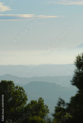 Canvastavla A misty winter’s afternoon in Les Garrigues, a region of Catalonia where very high-quality olive oil is produced