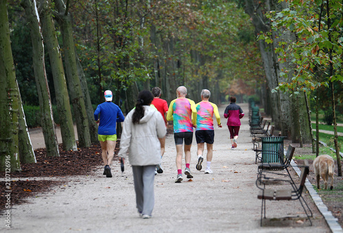 фотографія Runners grupo corredores senior en parque equipo de running y jogging mayores en