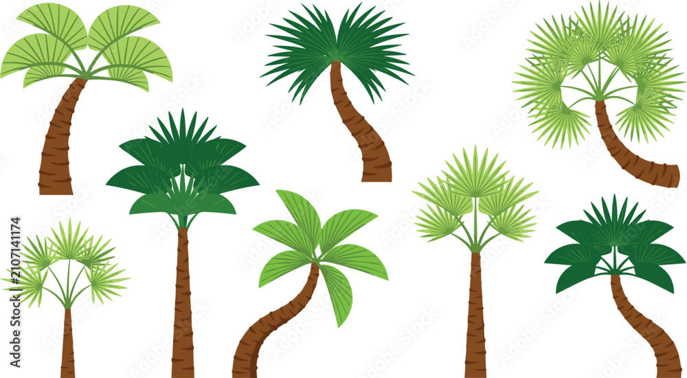 Naklejka premium Colorful Palm Tree Vector Illustration Set Featuring Diverse Tropical Plant Species and Jungle Foliage Symbols for Summer Beach Travel and Nature Designs