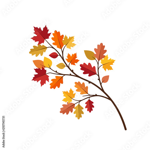 Colorful autumn leaves on tree branch with fall colors