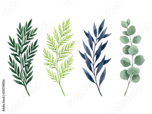 Set of four watercolor botanical leaves and branches isolated on transparent background