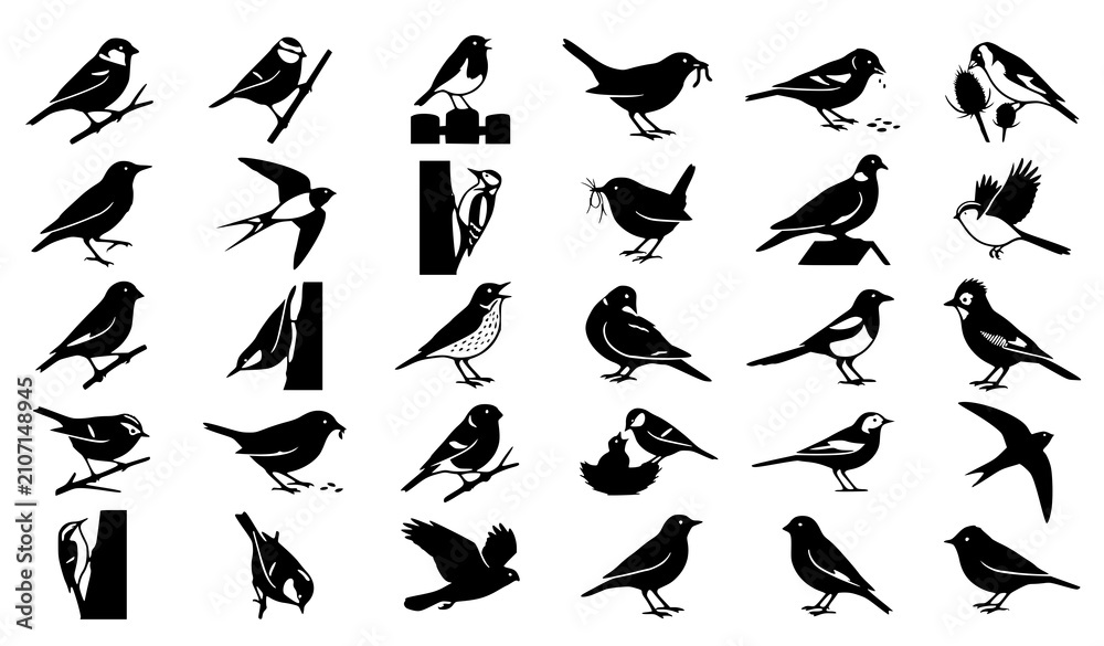Obraz premium Wild and garden bird silhouette icon set featuring feeding nesting and flying birds isolated on white background
