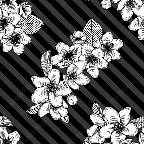 Vector illustration of white apple blossom flowers on black diagonal striped background, elegant floral design