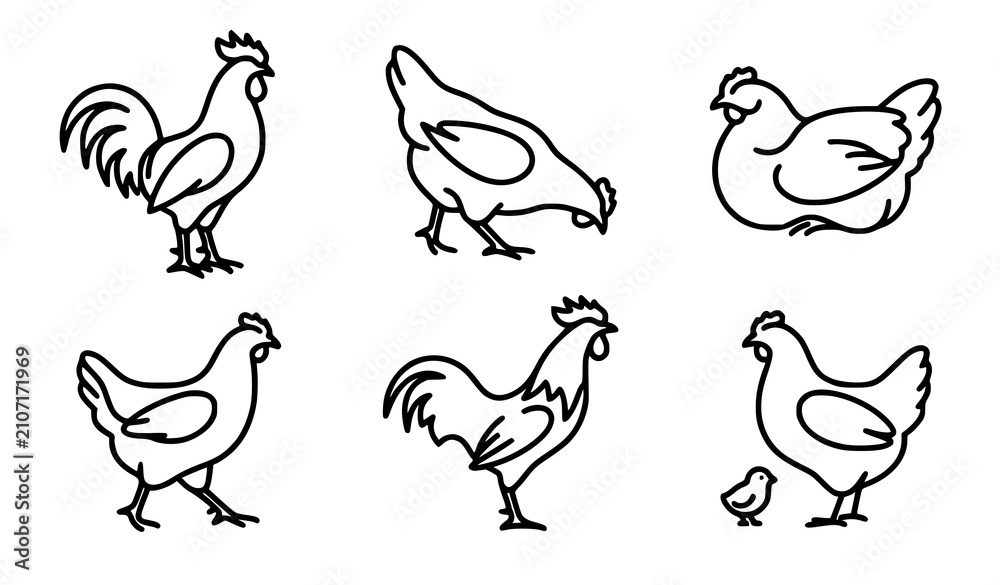 Fototapeta premium Minimalist Black and White Chicken Line Art Vector Icons Modern Poultry Silhouette Graphic Design Assets