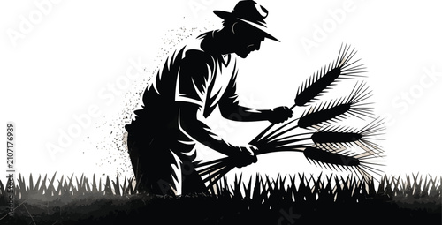 Black silhouette farmer planting rice or wheat in field with hat on white background in EPS format for agriculture design