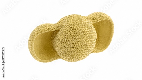 Conceptual Porous Micro Cell Structure Isolated on White