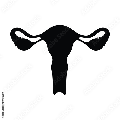 Black silhouette of a human female uterus and ovaries reproductive system isolated on a white background, for medical health education