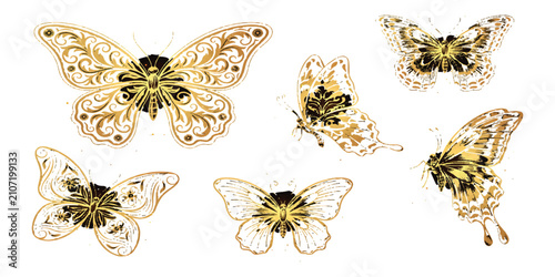 Set of decorative butterflies with floral patterns and ornate vintage graphic design style