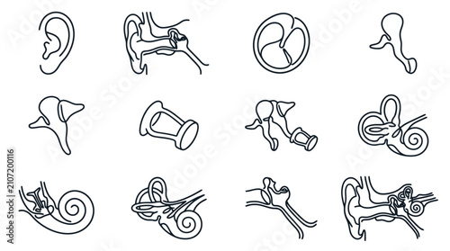 Cuadro en lienzo Anatomy Ear Hearing Organ Medical Science Vector Icons Set