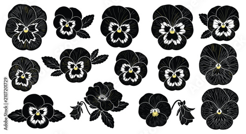 Detailed collection of vintage pansy flower silhouettes with elegant yellow details on a clean white background.