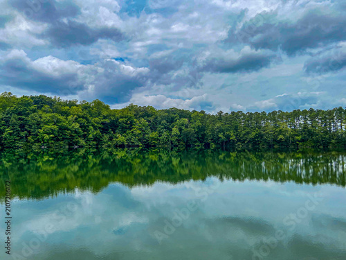 Forest Reflections Along the Susquehanna River
