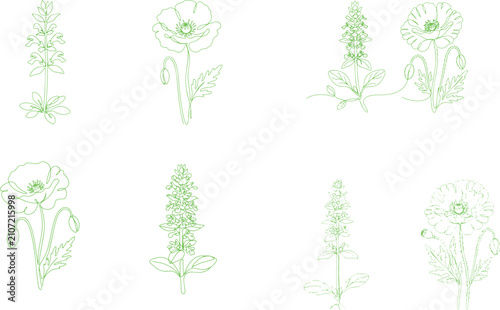 Magic lamp one line art collection with blooming flowers and flame motifs