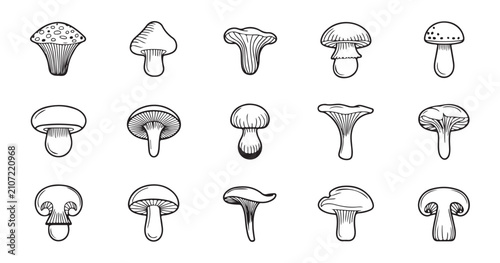 Schilderij op canvas Hand drawn mushroom sketches in vintage style for botanical art projects and rustic organic product labels