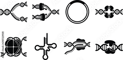 Foto DNA genetics and molecular biology icons set featuring replication transcription