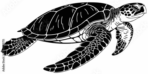 Black sea turtle silhouette, isolated outline on white background