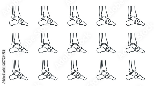 Fotografía Anatomy of the Human Foot: Detailed Bone Structure in a Repeating Pattern