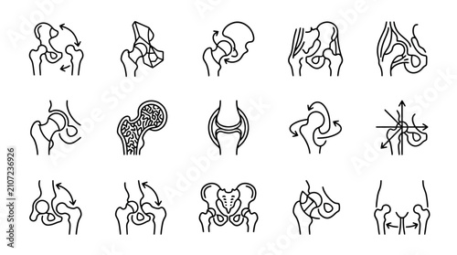 Foto Hip Joint Anatomy Illustrations: Movement, Pathology, and Anatomy Icons